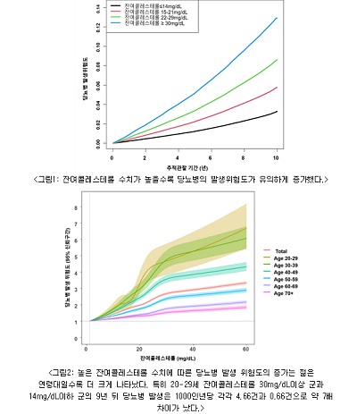 잔여콜레스테롤 수치 낮은 군 대비 높은 군 당뇨병 발병 위험 최대 2배 높아…젊을수록 더 위험